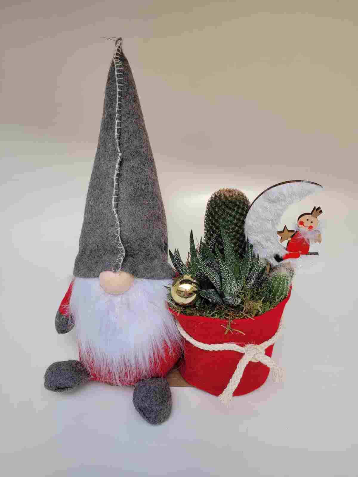 CACTUS MUÑECO GNOMO "P"